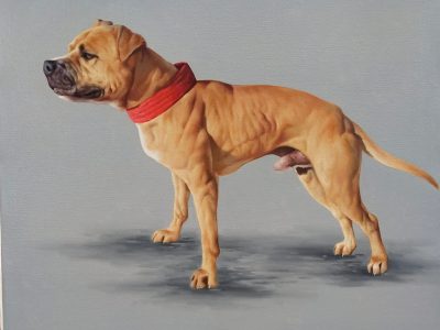 Dog with red collar